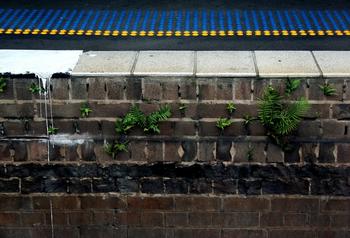 ���齫�Ƽ��ַ���Ƶ�����ڵĸ��ڳ��Ϸ�����300��ǧ������� ȫ������(ͼ)...